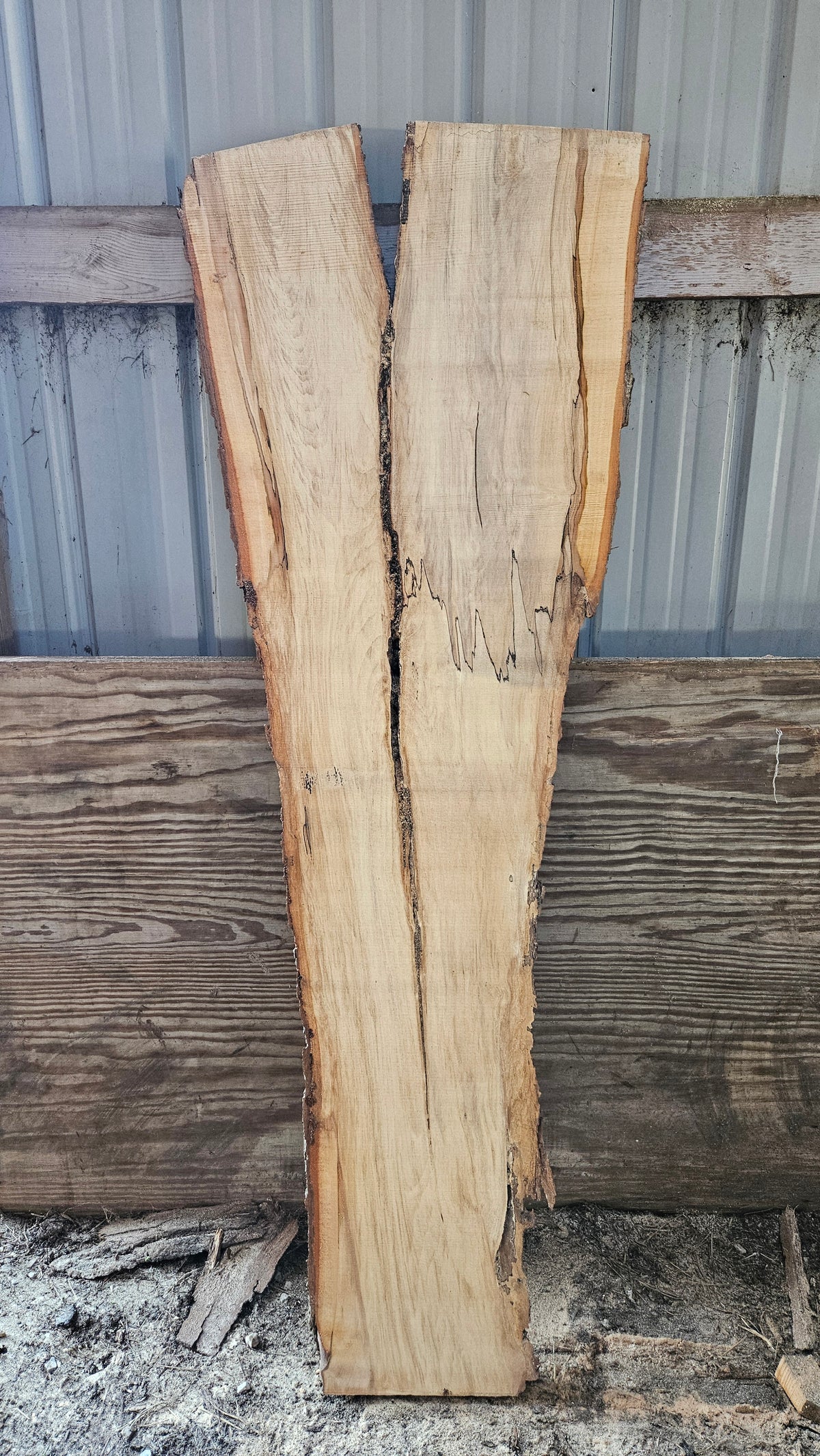Spalted Sugar Maple Live Edge Slab 74"x11"-26"x2"