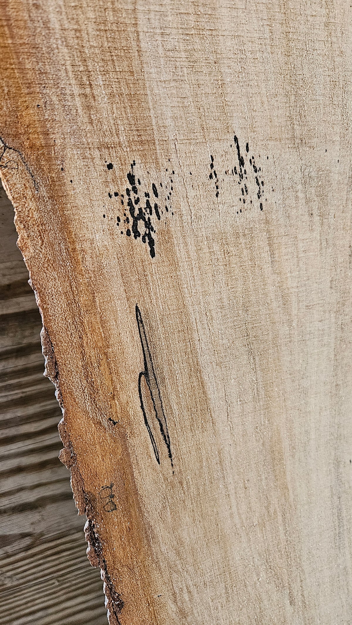Spalted Sugar Maple Live Edge Slab 74"x11"-26"x2"