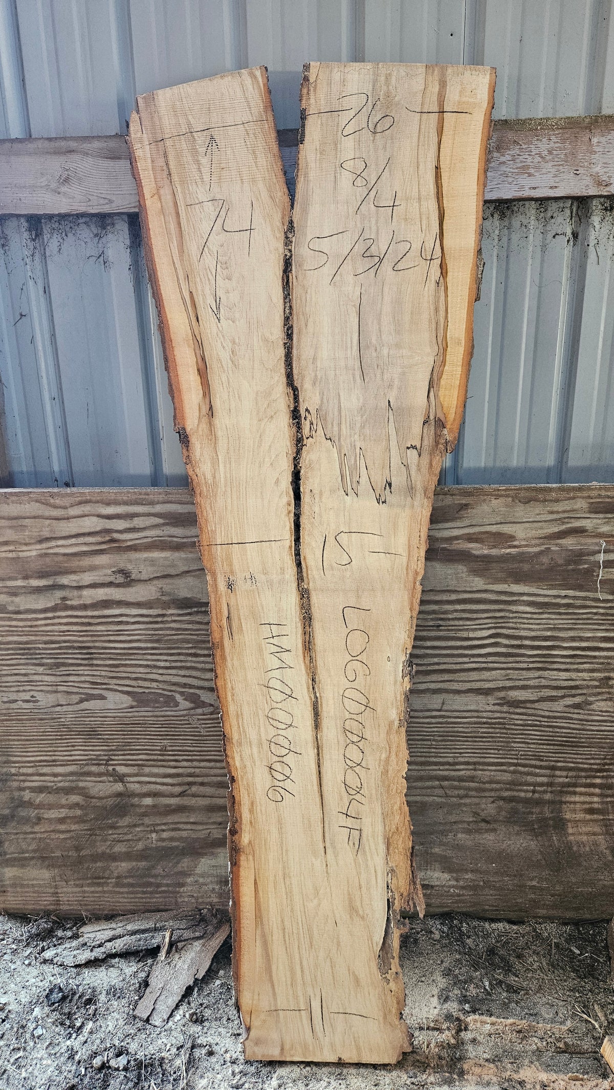 Spalted Sugar Maple Live Edge Slab 74"x11"-26"x2"