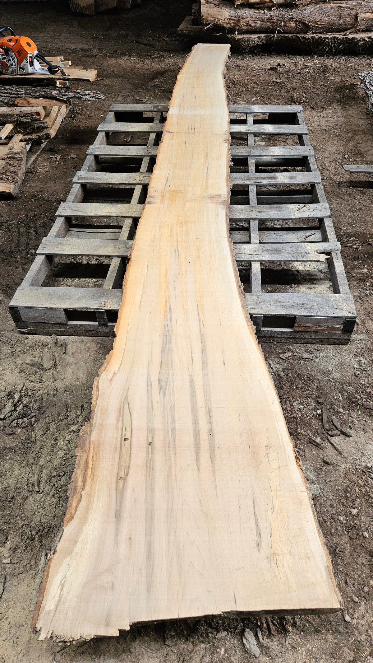 Sugar Maple Live Edge Slab 196"x12"-29"x2.5"
