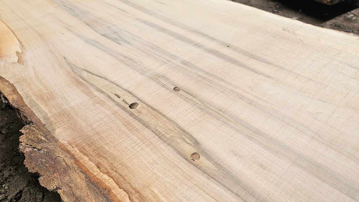 Sugar Maple Live Edge Slab 196"x12"-29"x2.5"
