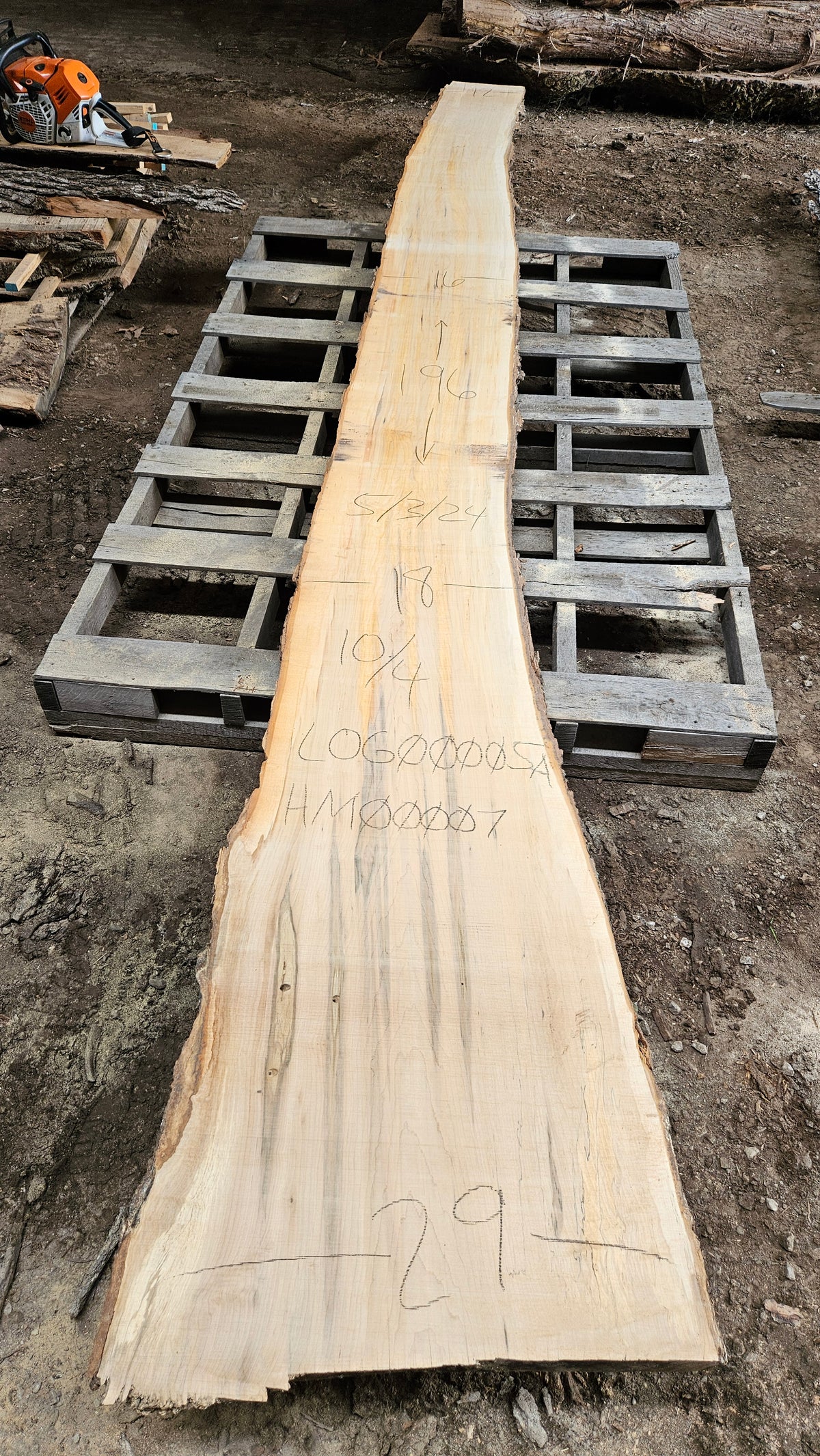Sugar Maple Live Edge Slab 196"x12"-29"x2.5"