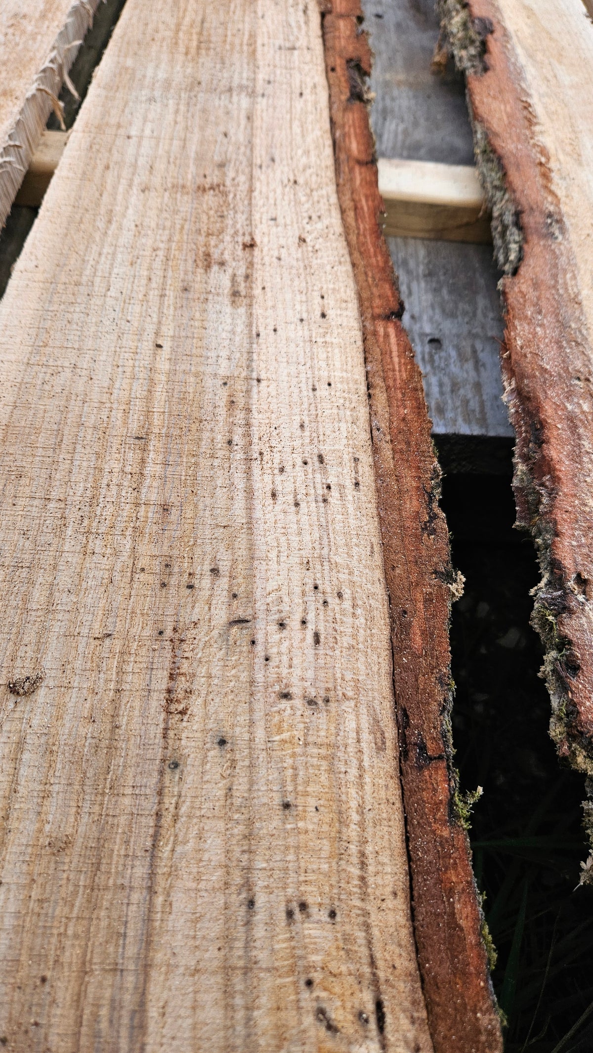 Live Edge Buggy Quartersawn White Oak Trim