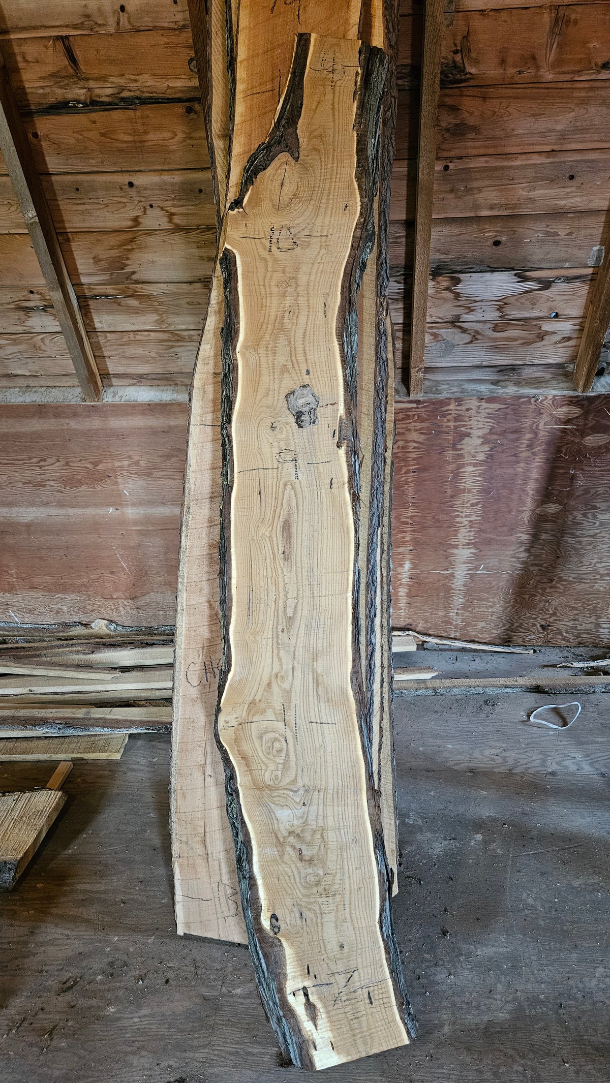 Russian Olive Live Edge Slab 80"x7"-11"x1.5"
