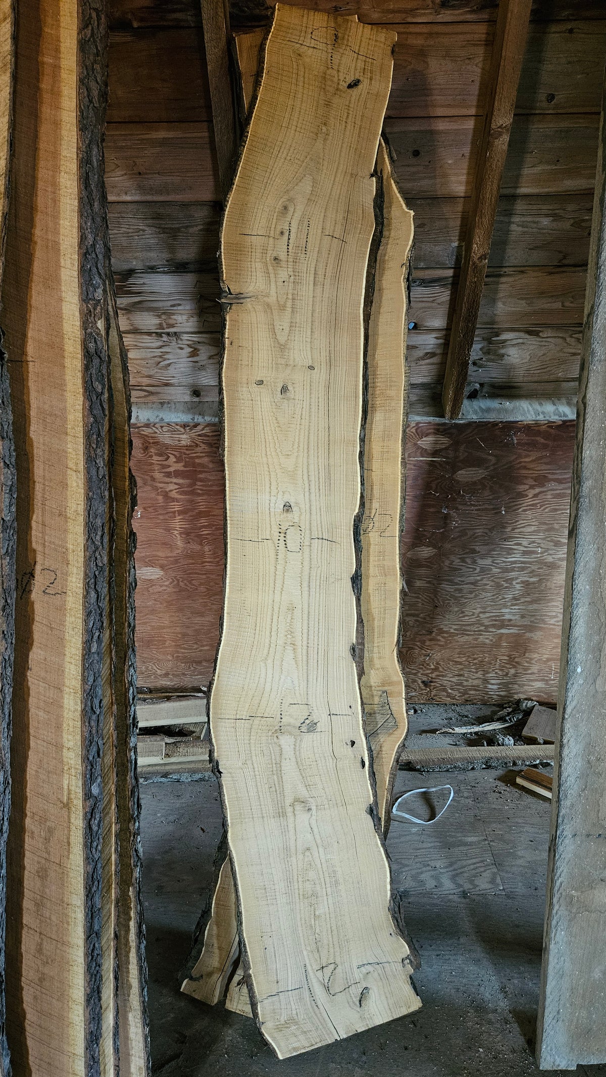 Russian Olive Live Edge Slab 79"x8"-12"x1.5"