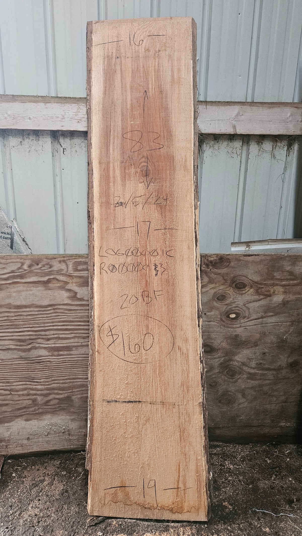 Pin Oak Slab 83"x16"-19"x2"