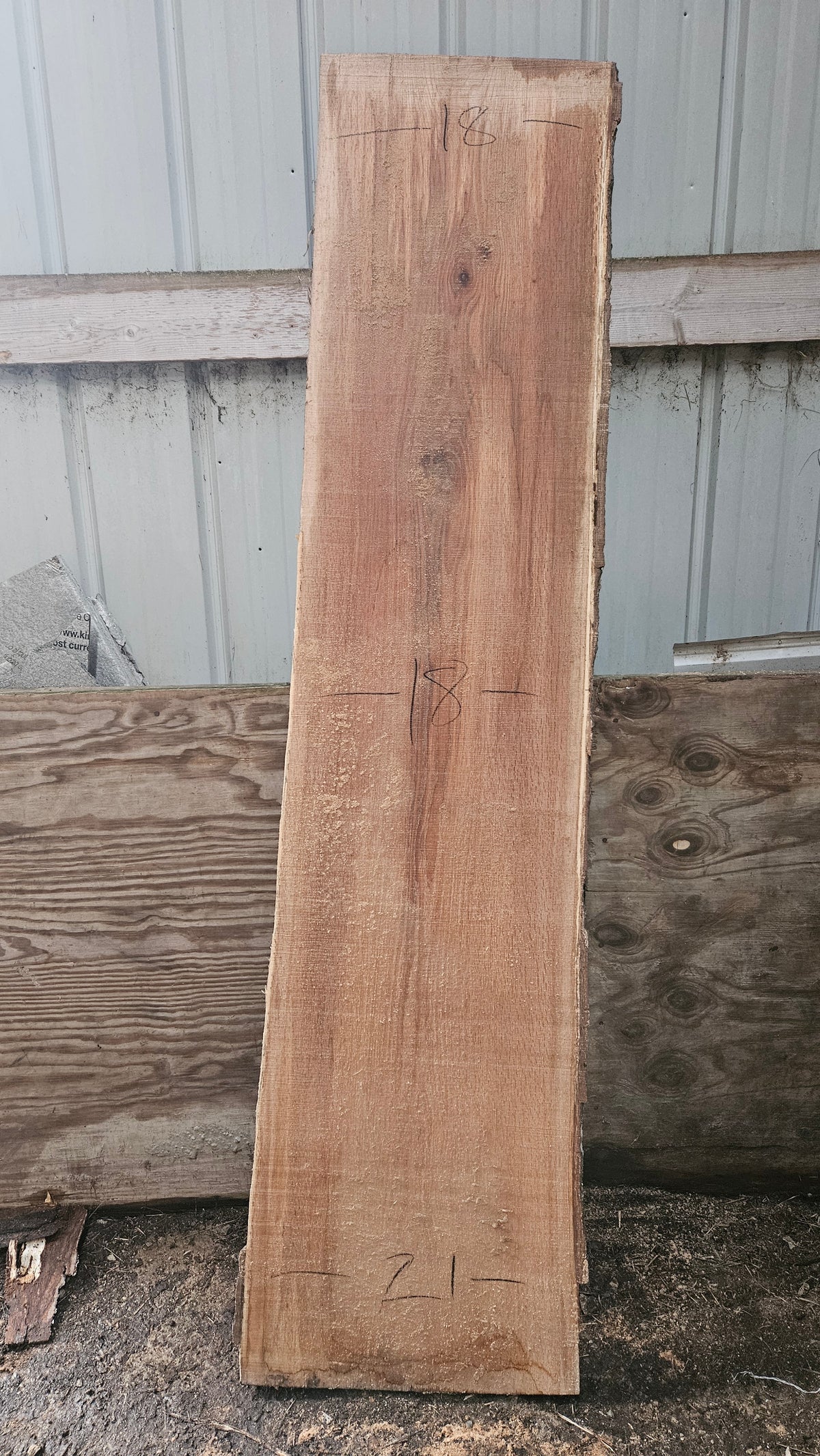 Pin Oak Slab 83"x16"-19"x2"