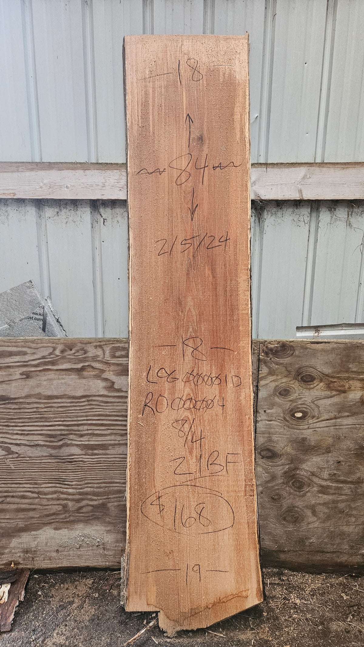 Pin Oak 84"x18"-19"x2"