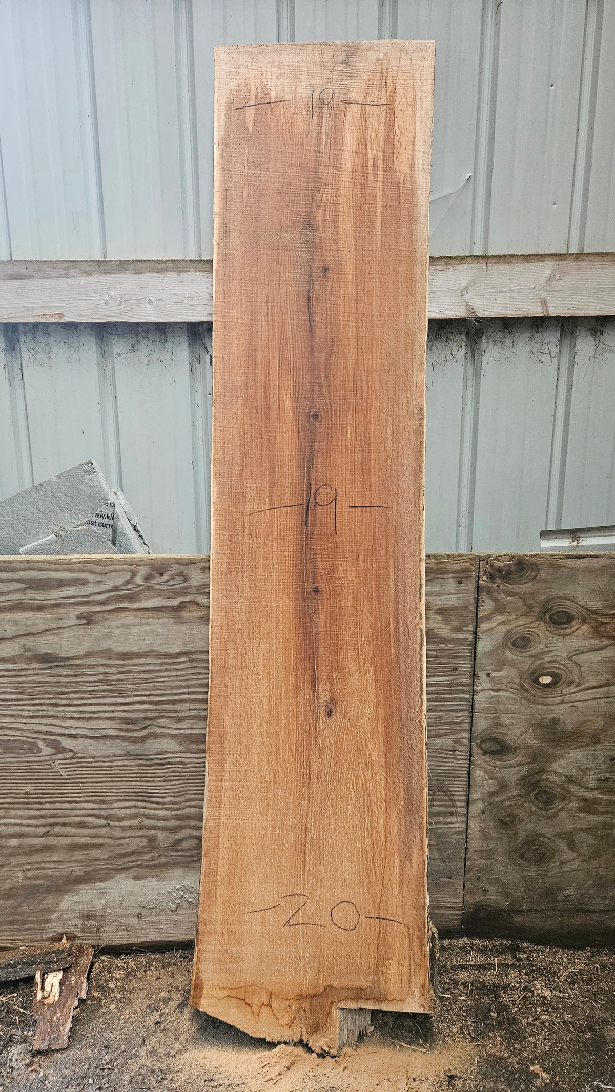 Pin Oak 84"x18"-19"x2"