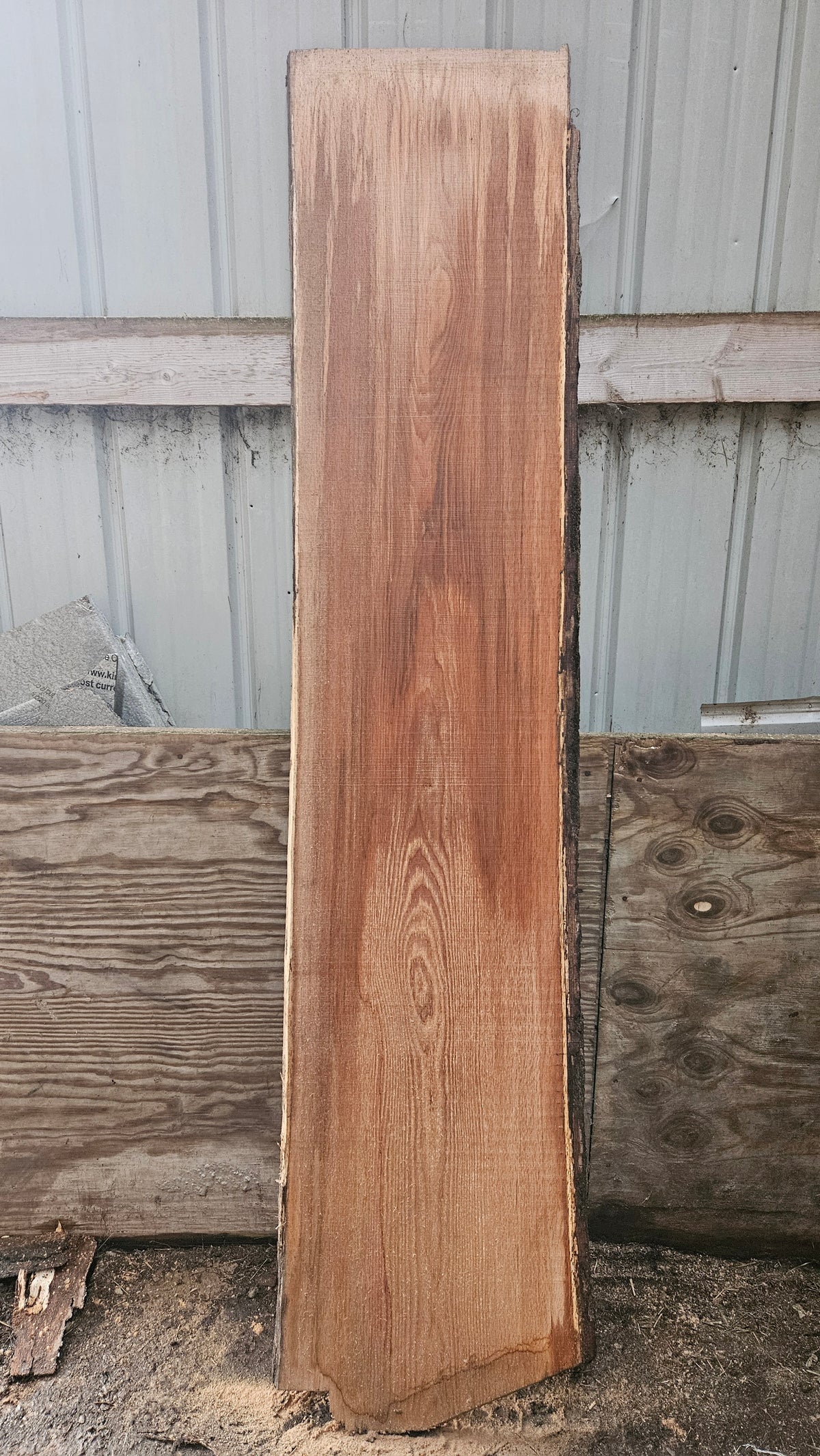 Pin Oak 82"x16"-18"x1"