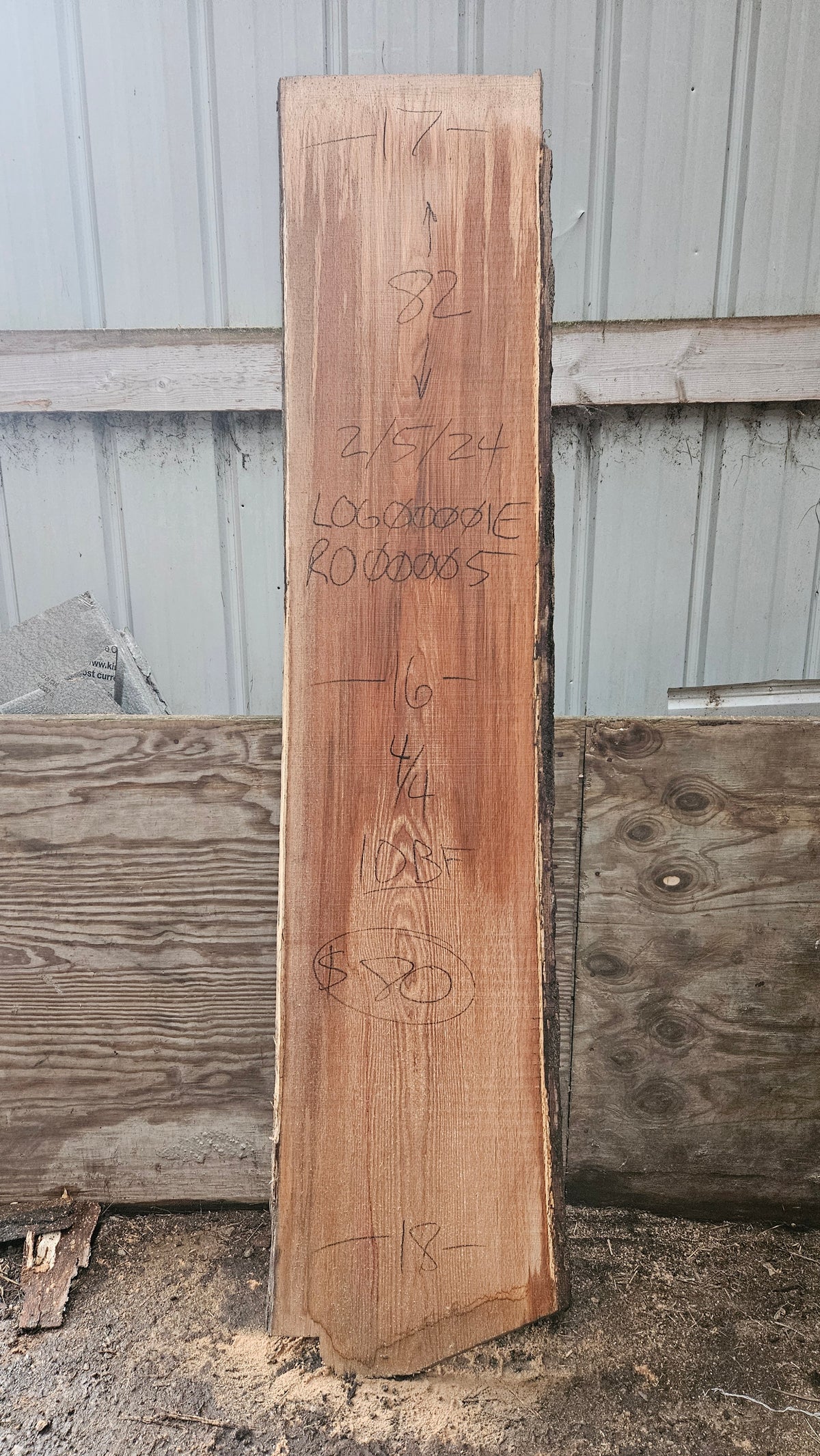 Pin Oak 82"x16"-18"x1"