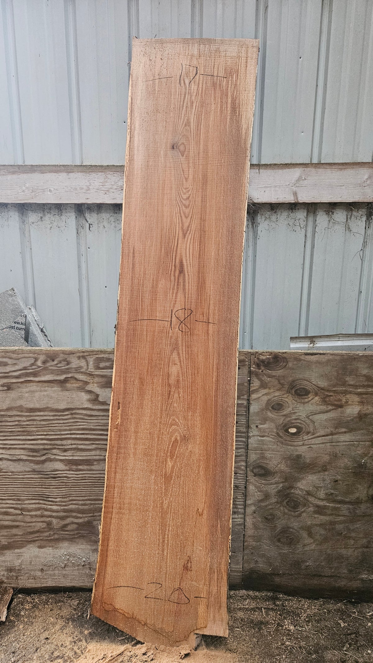 Pin Oak 82"x16"-18"x1"