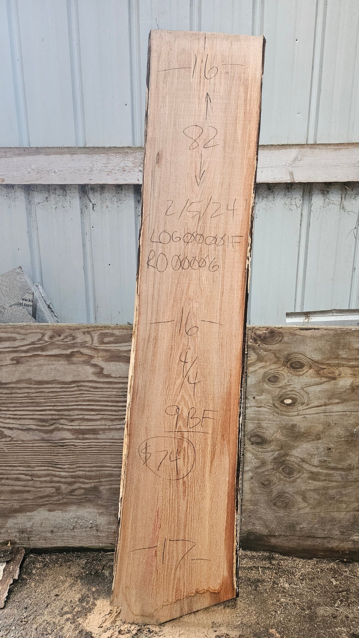 Pin Oak 82"x16"-17"x1"