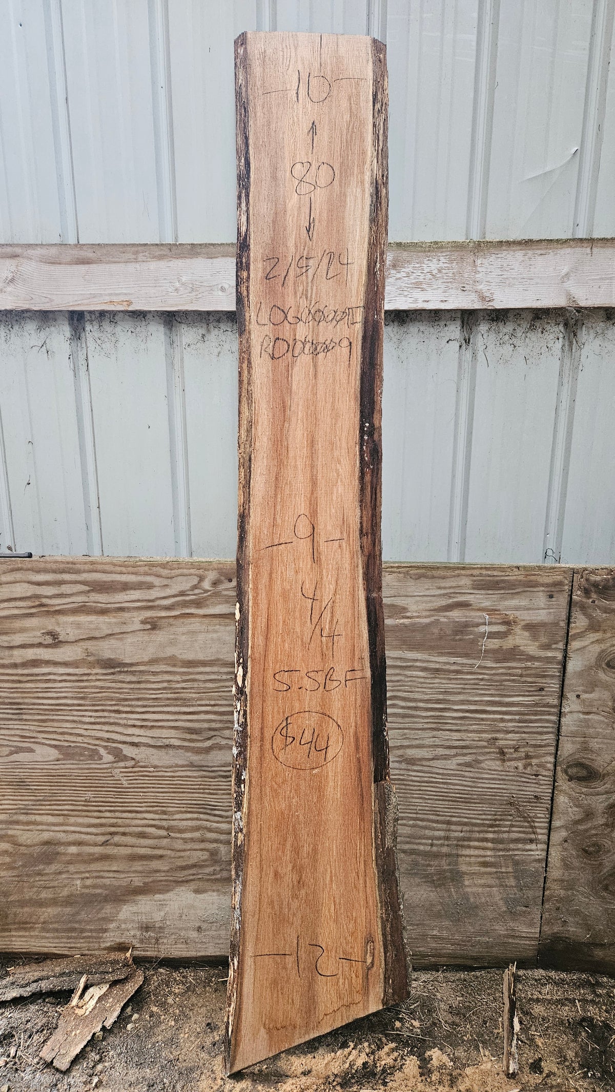 Pin Oak 80"x9"-12"x1"