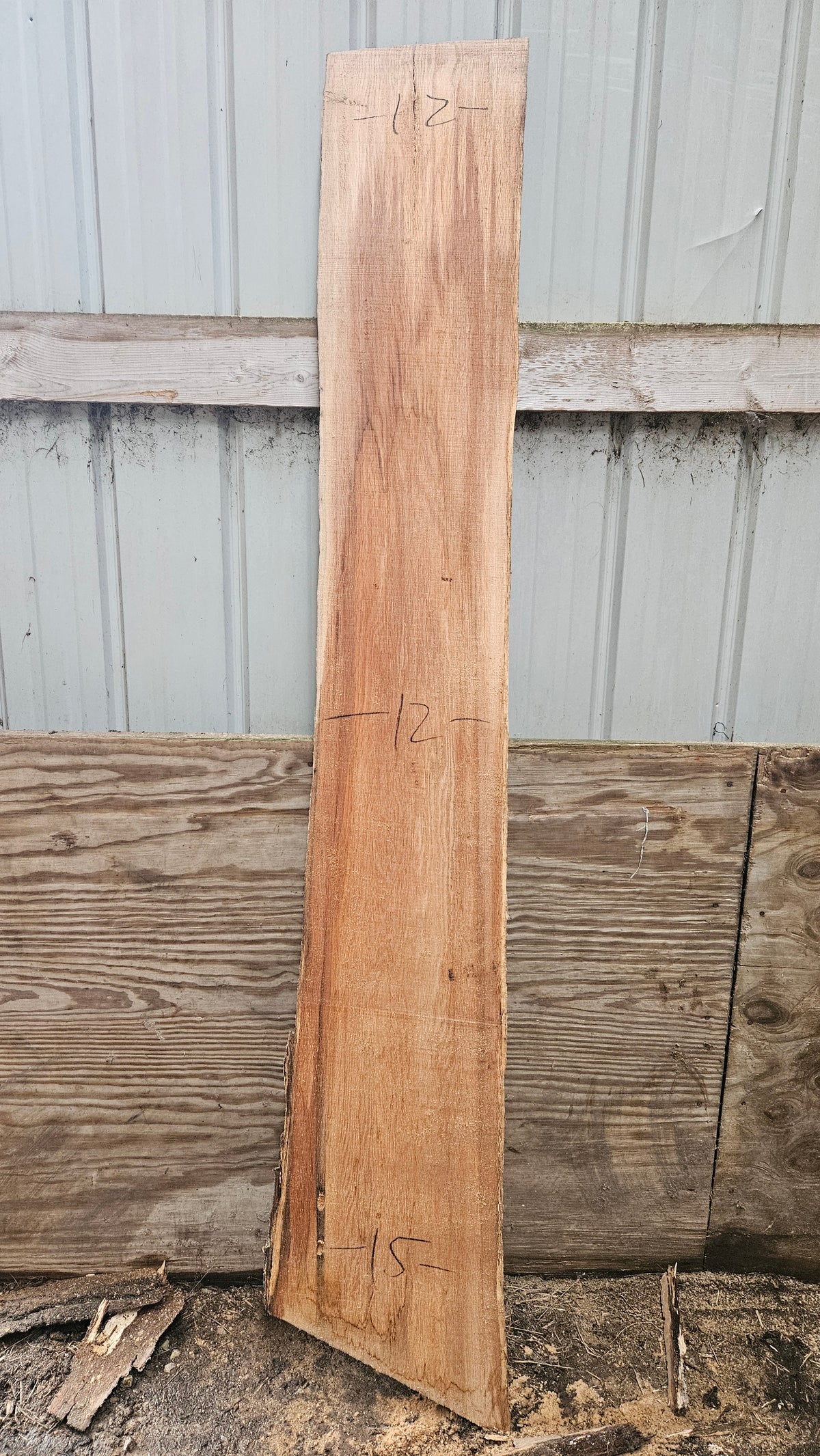 Pin Oak 80"x9"-12"x1"