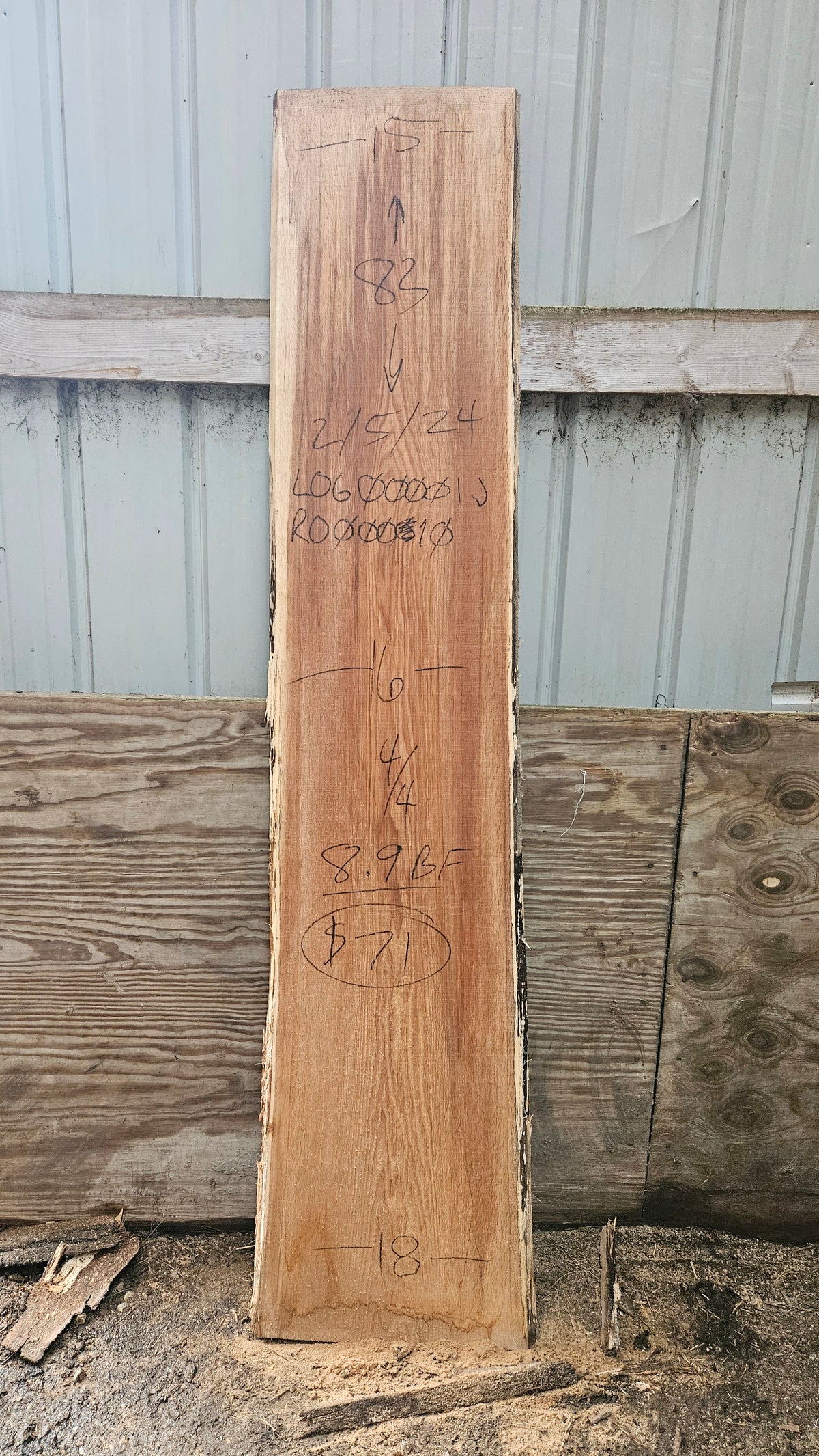 Pin Oak 83"x15"-18"x1"