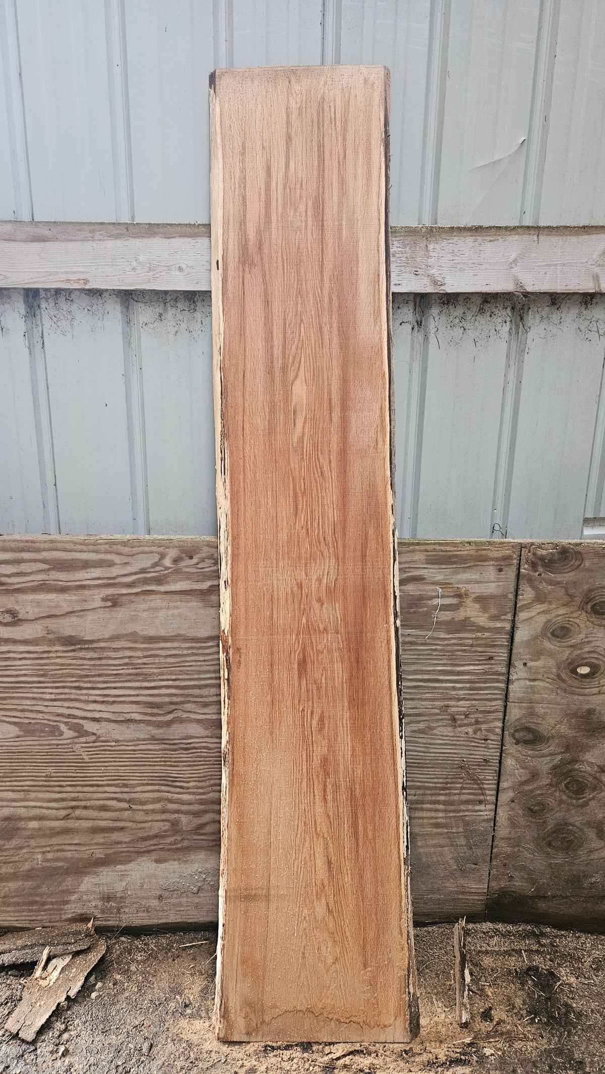 Pin Oak 83"x12"-15"x1"