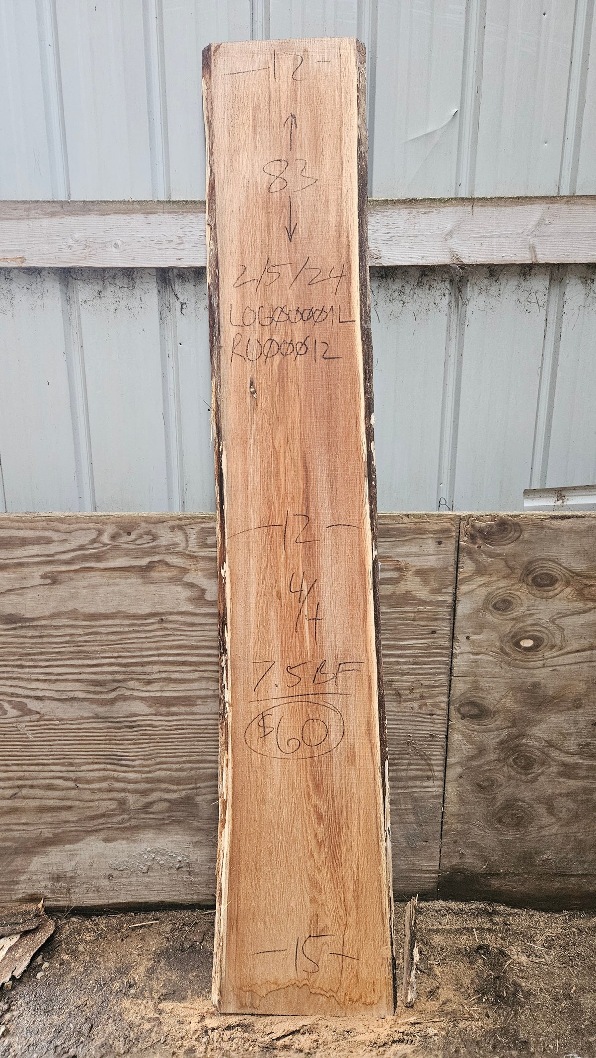 Pin Oak 83"x12"-15"x1"