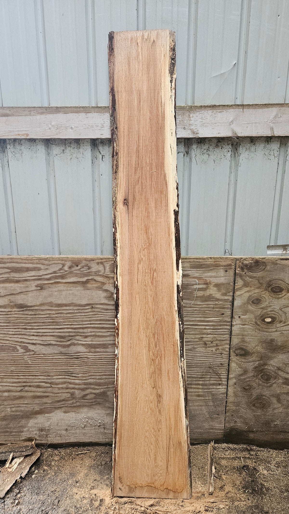 Pin Oak 83"x9"-13"x1"