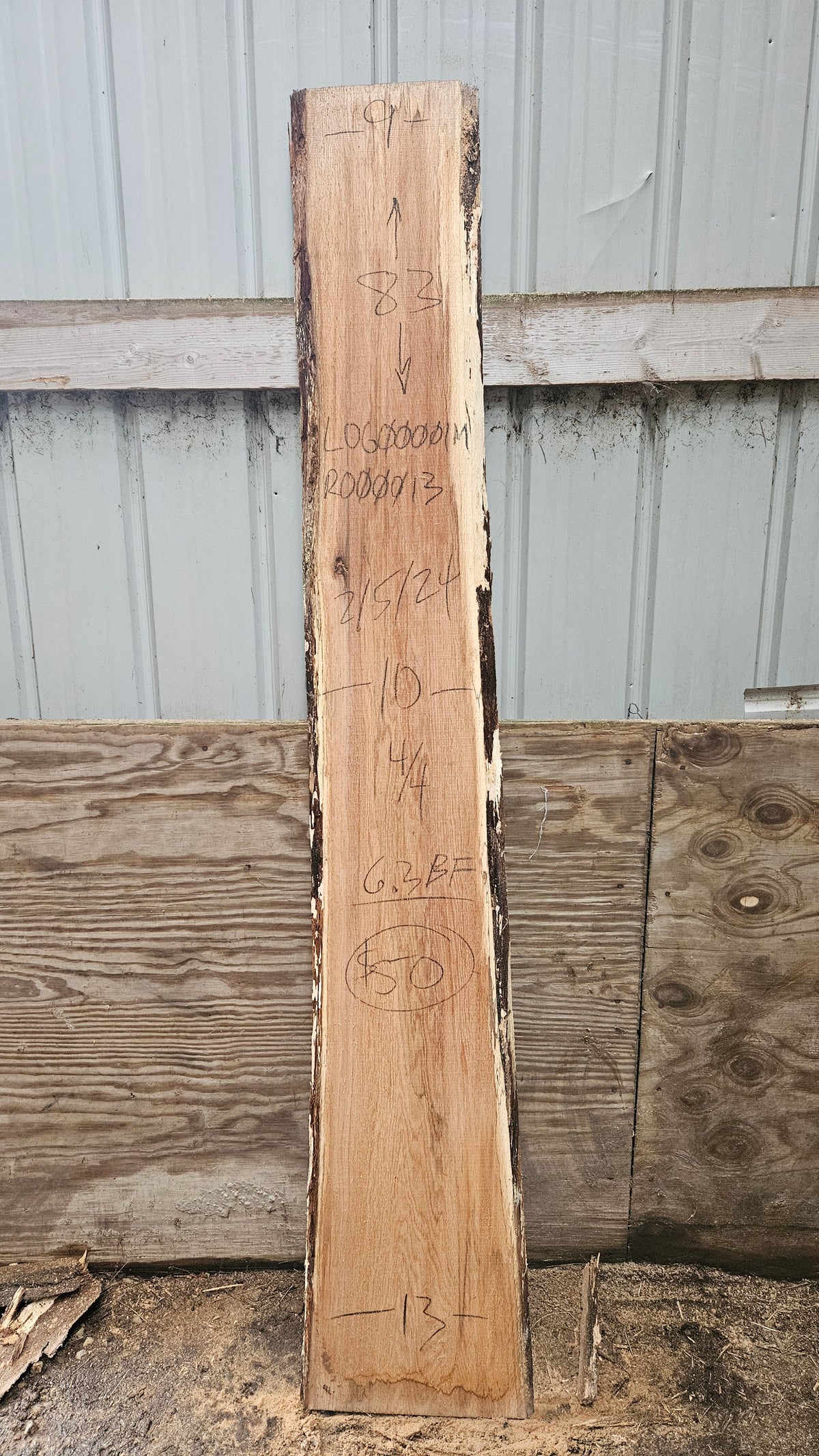 Pin Oak 83"x9"-13"x1"
