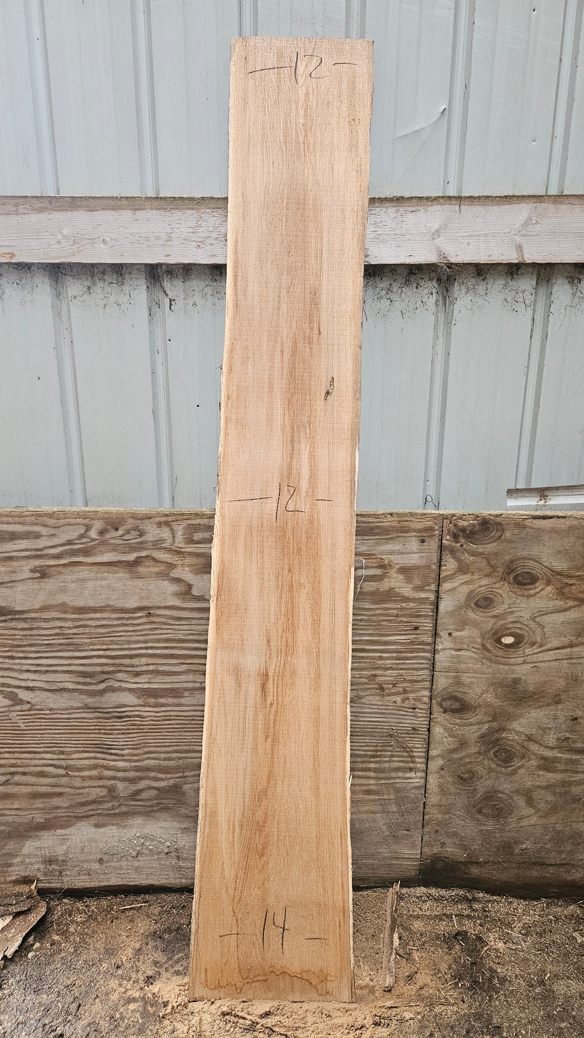 Pin Oak 83"x9"-13"x1"