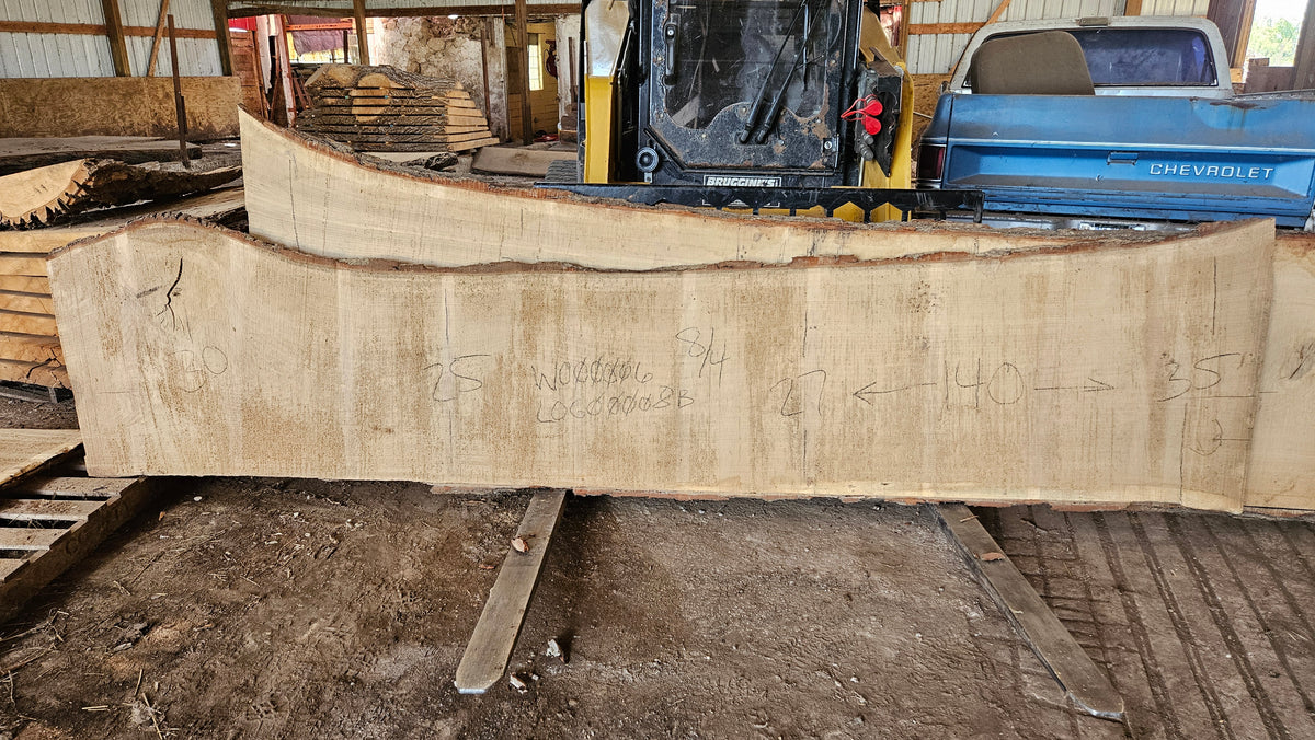 White Oak Slab 140"x25"-35"x2"