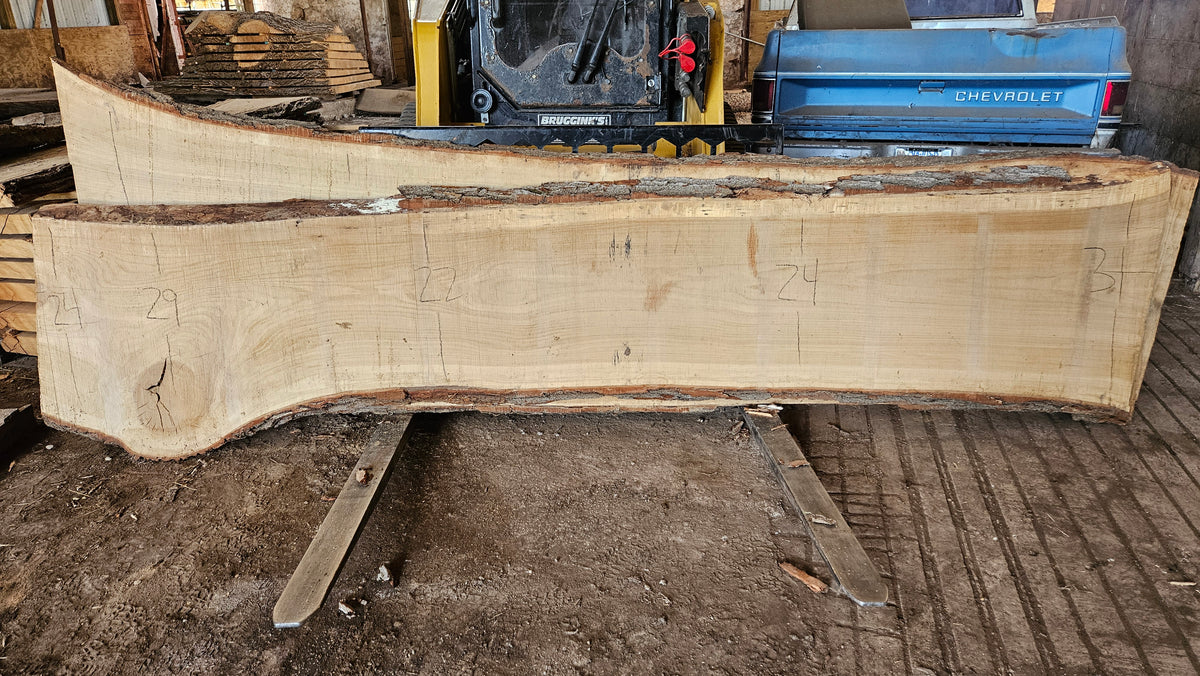 White Oak Slab 140"x25"-35"x2"