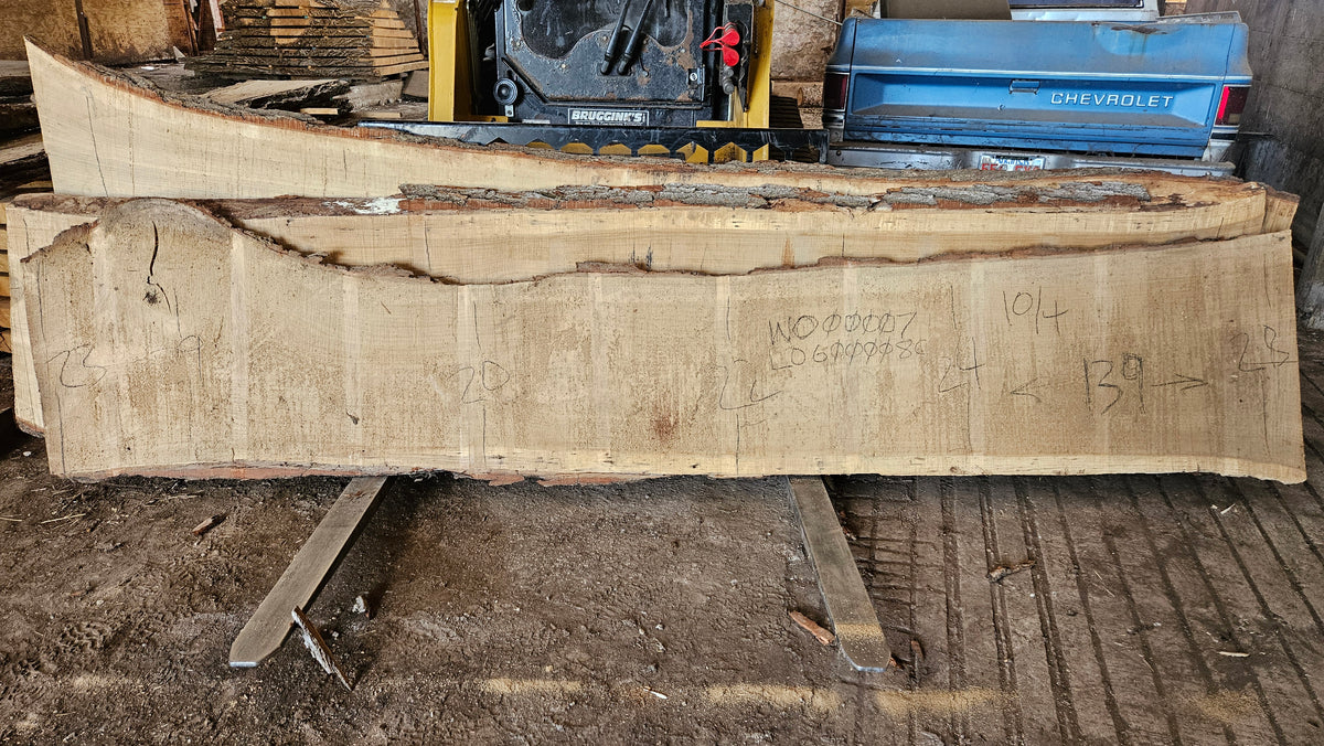 White Oak Slab 139"x20"-28"x2.5"