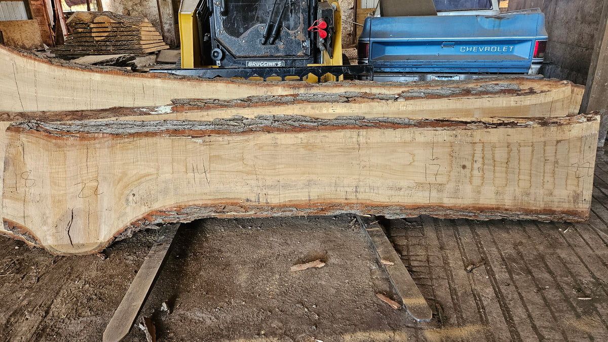 White Oak Slab 139"x20"-28"x2.5"