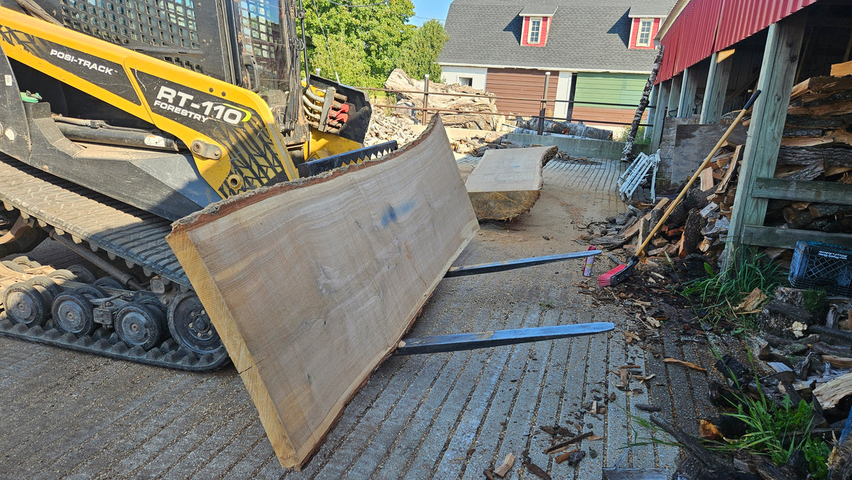 White Oak Slab 141"x31"-44"x2.75"