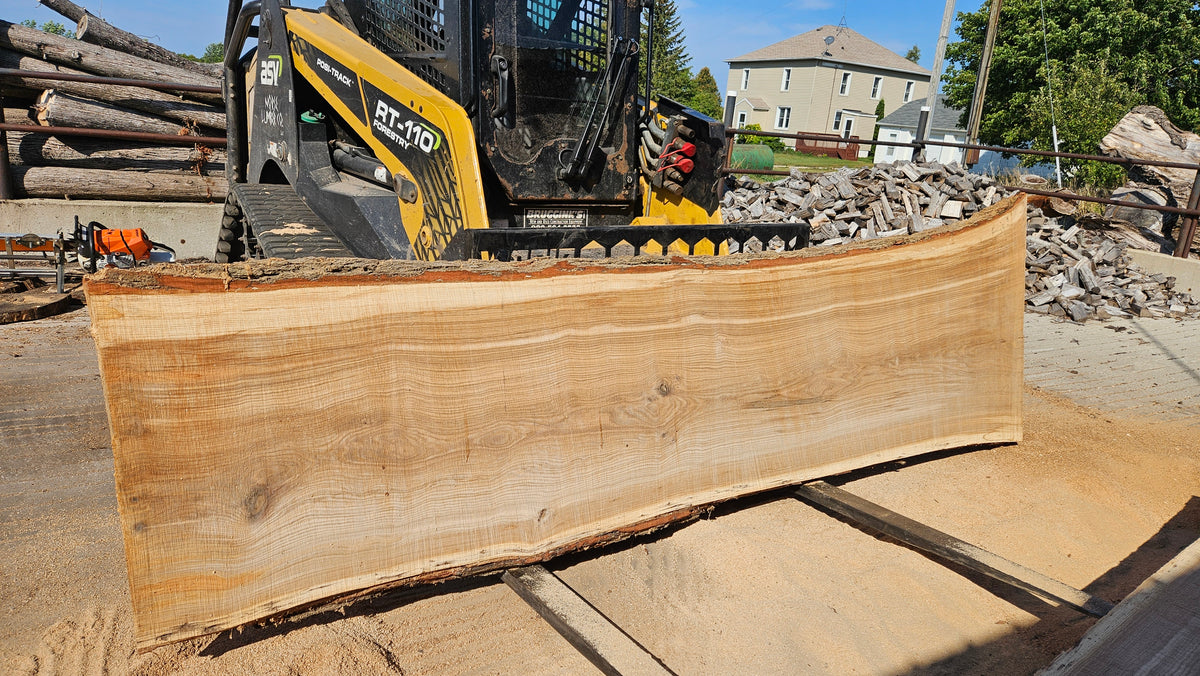 White Oak Slab 142"x30"-45"x2.75"