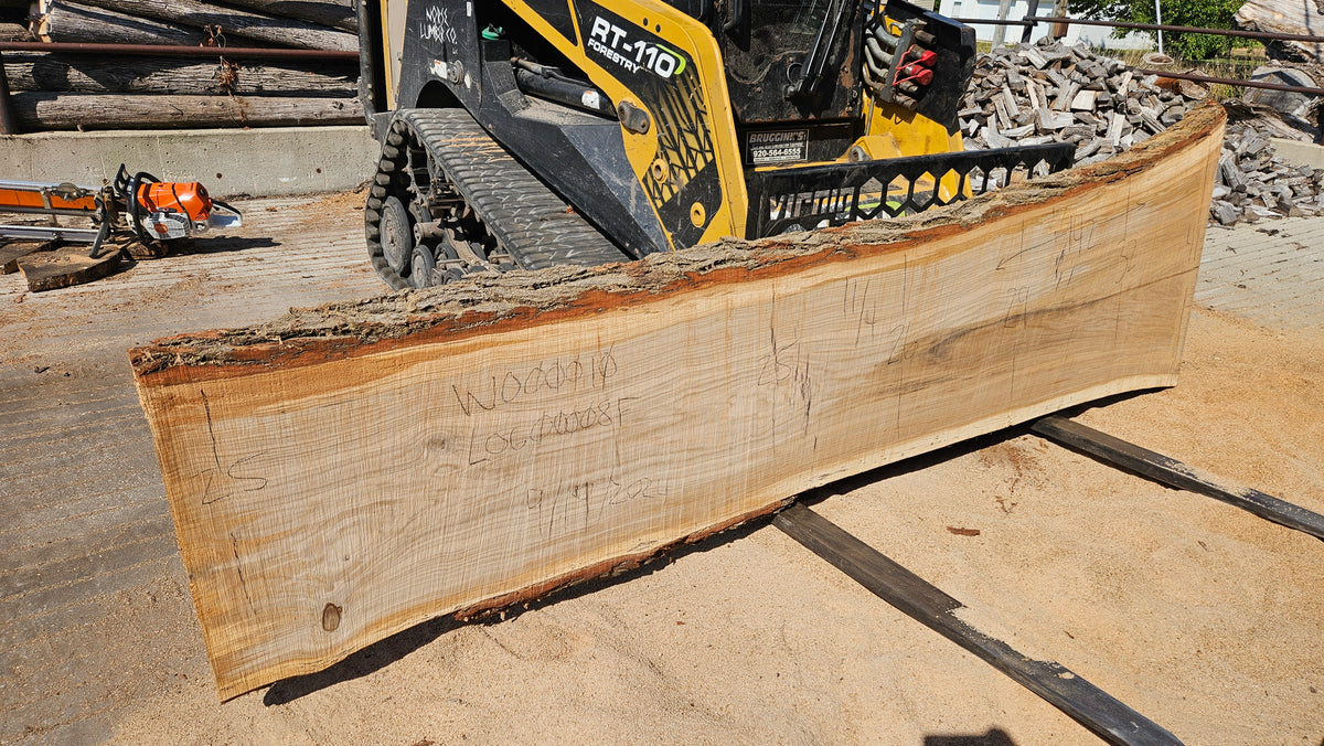 White Oak Slab 142"x25"-41"x2.75"
