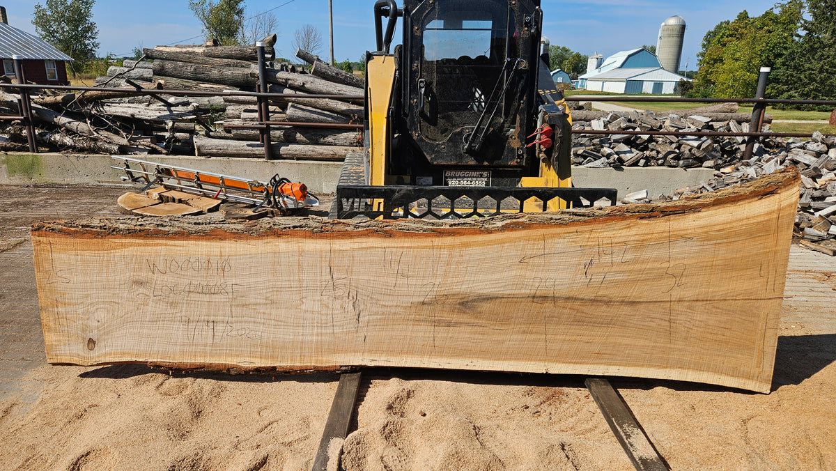 White Oak Slab 142"x25"-41"x2.75"
