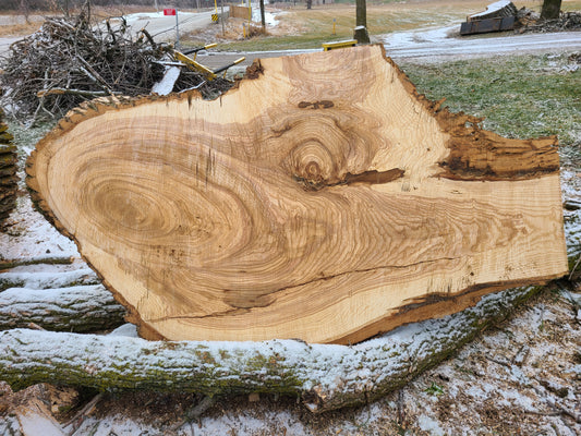 Ash Slab 71"x24"-43"x3"