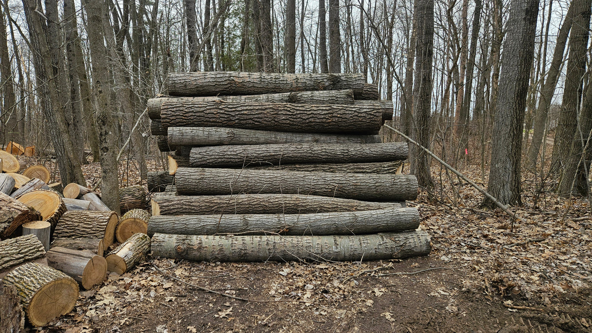 Aspen Firewood - Logs