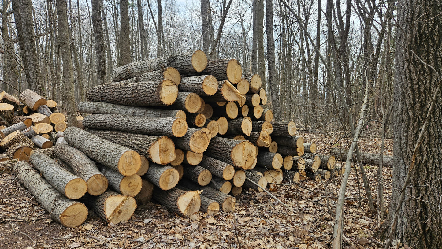 Logs