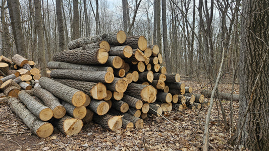 Aspen Firewood - Logs