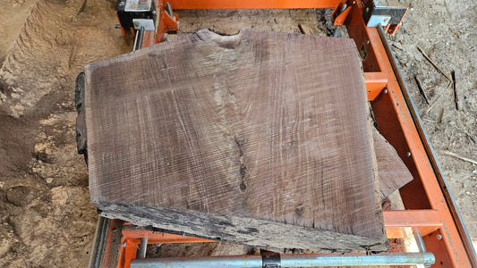 Black Walnut Live Edge Turning Blank 23"x22"-29"x6-8"