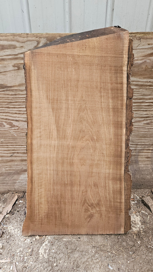 Black Walnut Live Edge Slab 41"x18"-24"x2"