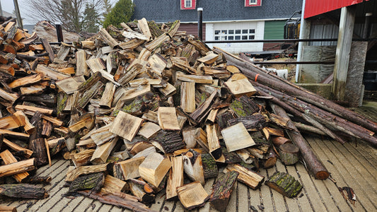 Basswood Firewood - Split