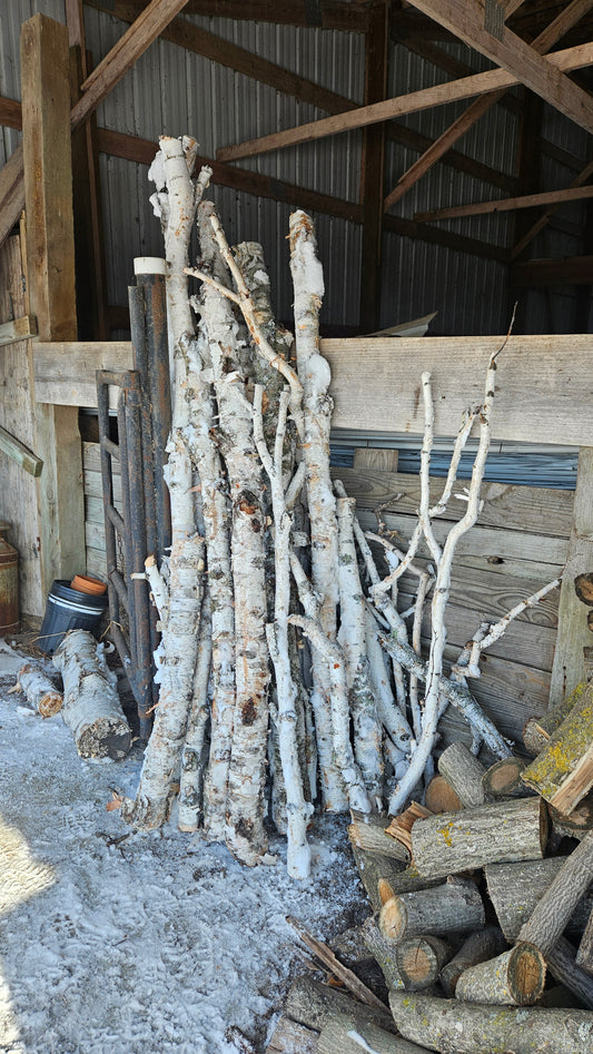Birch Poles