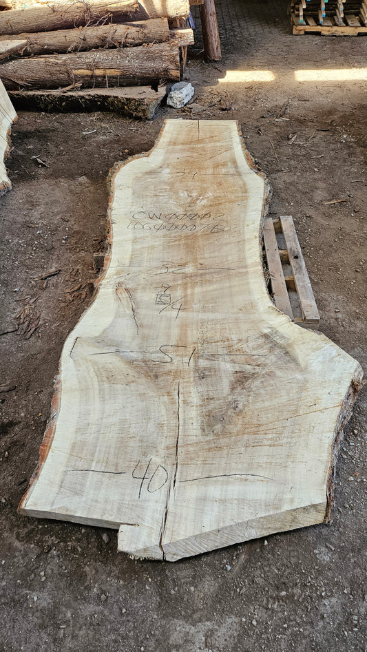 Cottonwood Slab 125"x26"-53"x2.25"