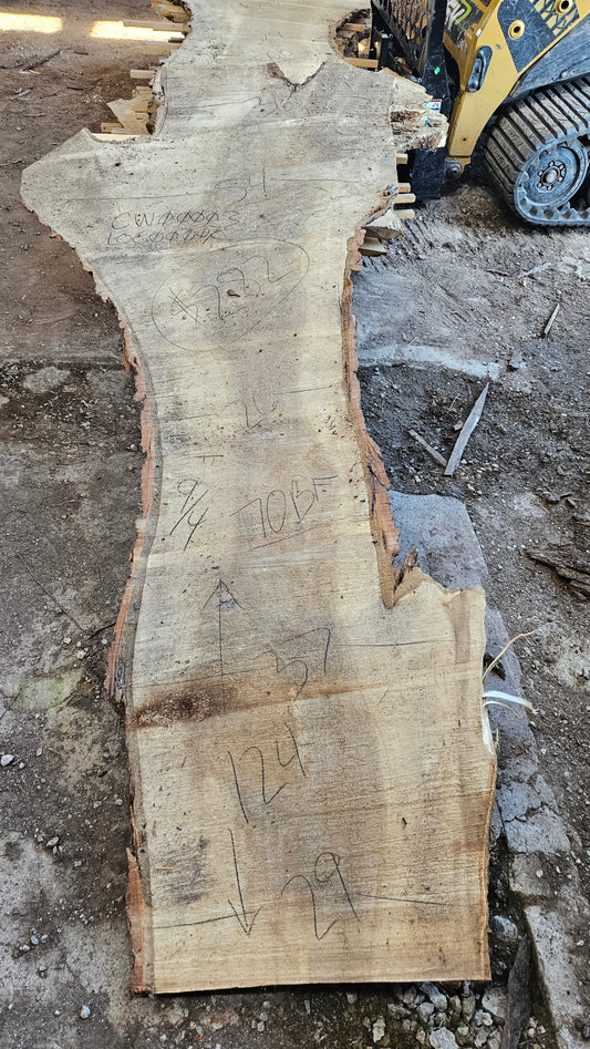Cottonwood Slab 124"x26"-54"x2.25"