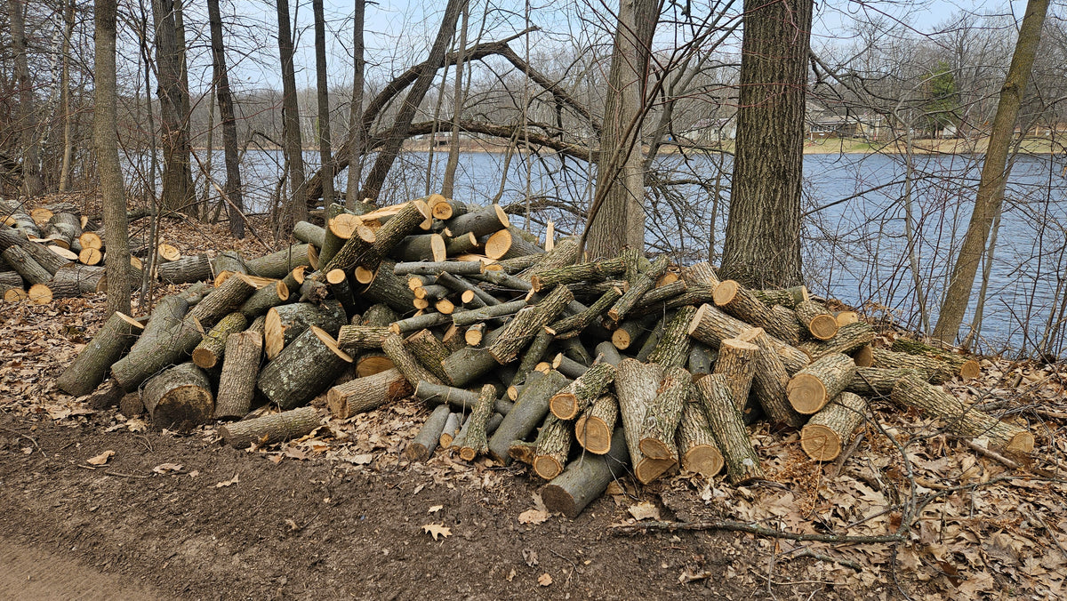 Elm Firewood - Chunks - Unseasoned