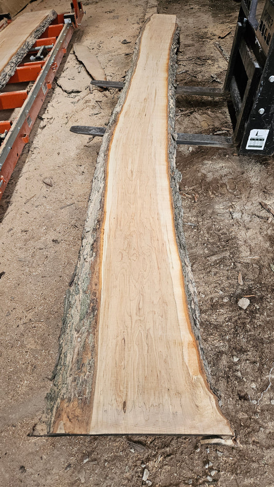 Sugar Maple Live Edge Slab 197"x16"-27"x2.25"