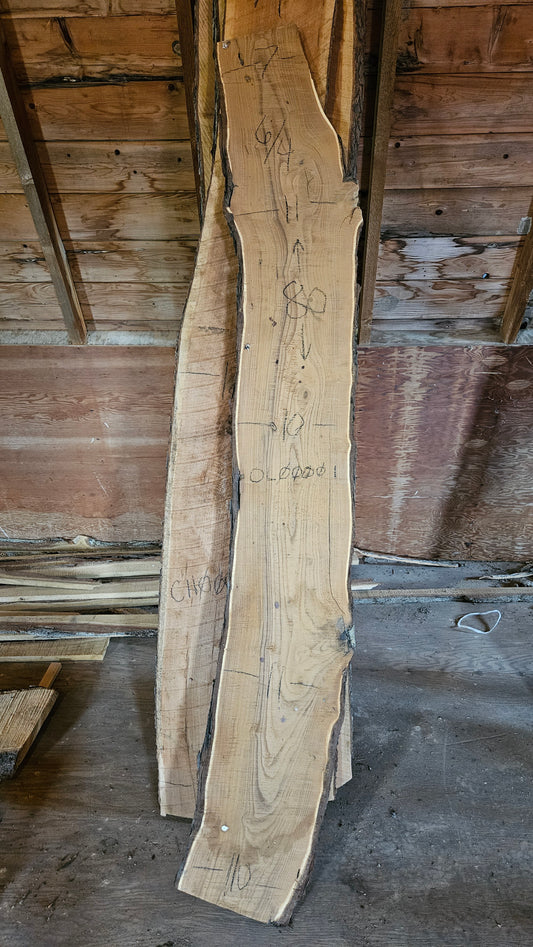 Russian Olive Live Edge Slab 80"x7"-11"x1.5"