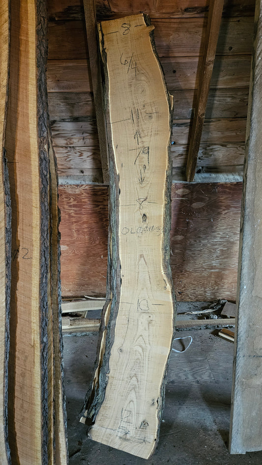 Russian Olive Live Edge Slab 79"x8"-12"x1.5"