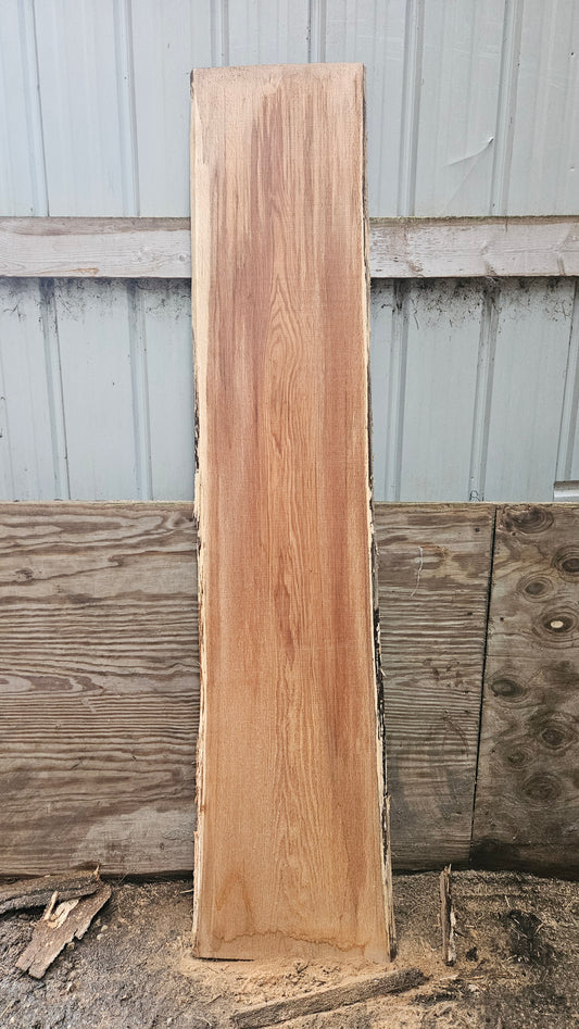 Pin Oak 83"x15"-18"x1"