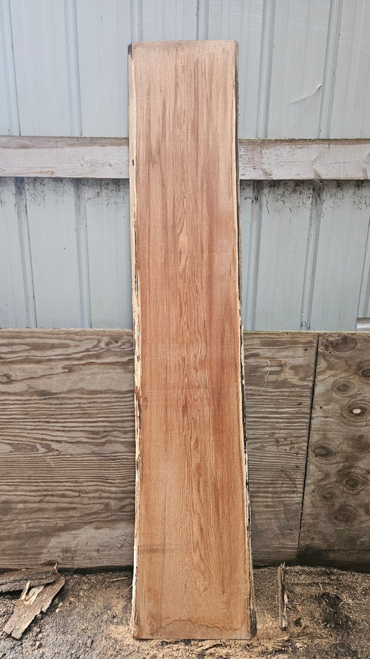 Pin Oak 83"x12"-15"x1"