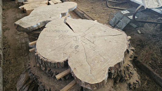 White Oak Cookie 41"-54"x3"